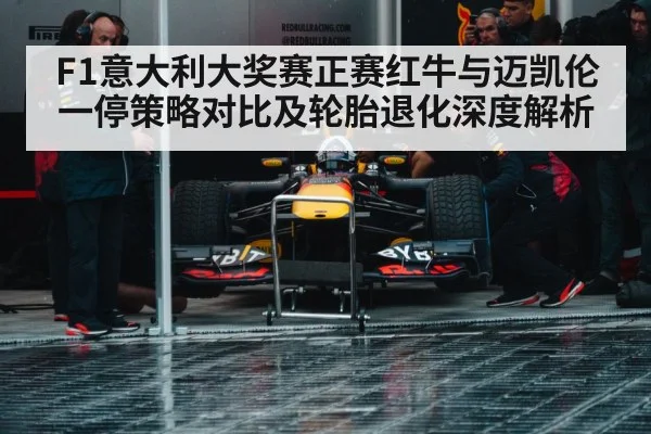 F1意大利大奖赛正赛红牛与迈凯伦一停策略对比及轮胎退化深度解析（nine game）