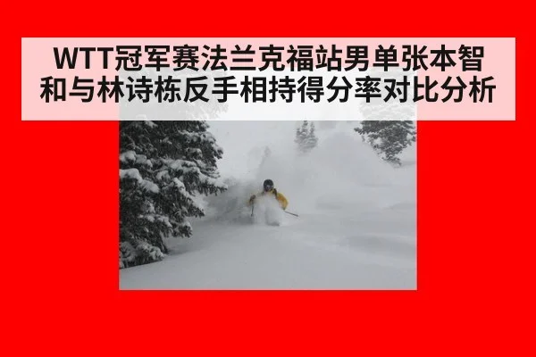 WTT冠军赛法兰克福站男单张本智和与林诗栋反手相持得分率对比分析